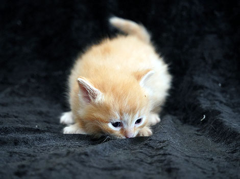 Ole am 16. März 2025